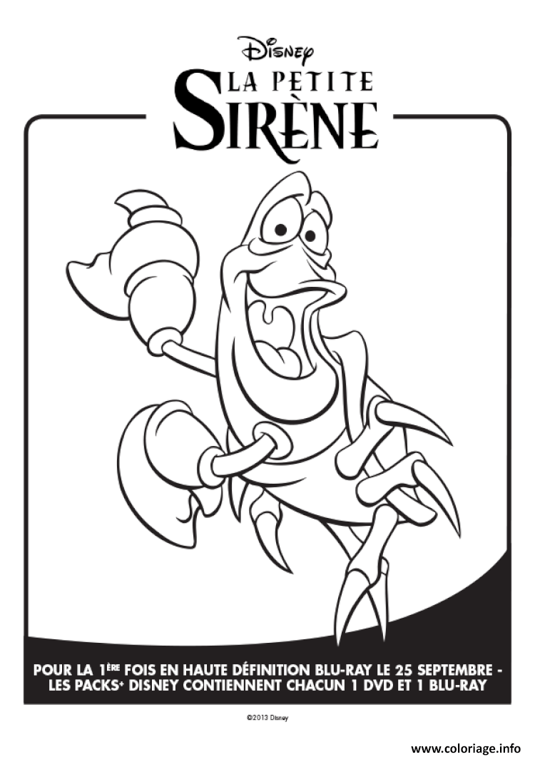 Coloriage Disney La Petite Sirene Officiel Affiche Dessin à Imprimer
